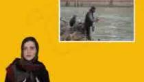 حیوان آزاریwww.elsalawyers.com
