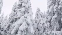 نماهنگ شکوه برف | موسیقی آرامش بخش شکوه برف | آهنگ فوق العاده زیبای شکوه برف