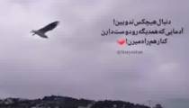 ماه چت