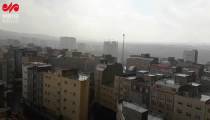 بارش اولین باران بهاری در تبریز