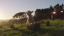 فیلم کلاف عشق 2022 زیرنویس فارسی