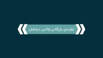 پودر بوگیر پا و کفش نانو سویل - ضد قارچ، ضد تعریق، معطر
