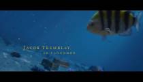 فیلم پری دریایی کوچولو The Little Mermaid 2023 زیرنویس فارسی