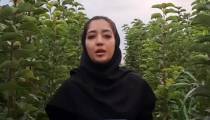 خرید و کاشت نهال گلابی