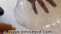ساخت بازی توپ و سبد