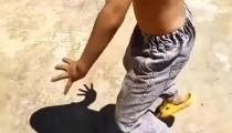 سایه بازی قوباغه
