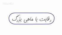 خلاصه کتاب رقابت با ماهی بزرگ