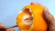 ساخت قوری و لیوان با پرتقال