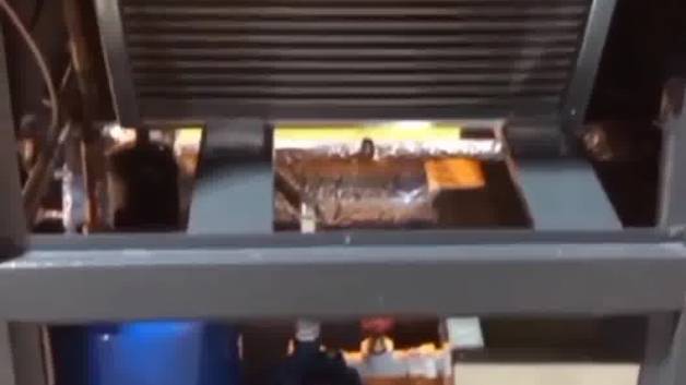 قیمت روز چیلر