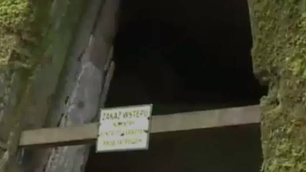 اشیاء کشف شده از پناهگاه هیتلر
