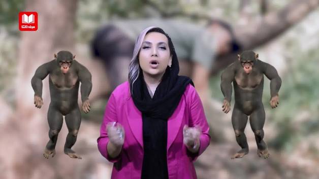 هفت روش غلبه بر میمون درونتان که باعث تنبلی می‌شود!