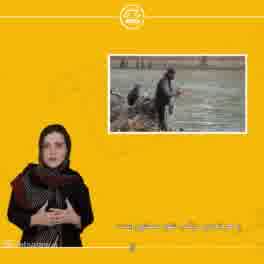 حیوان آزاریwww.elsalawyers.com