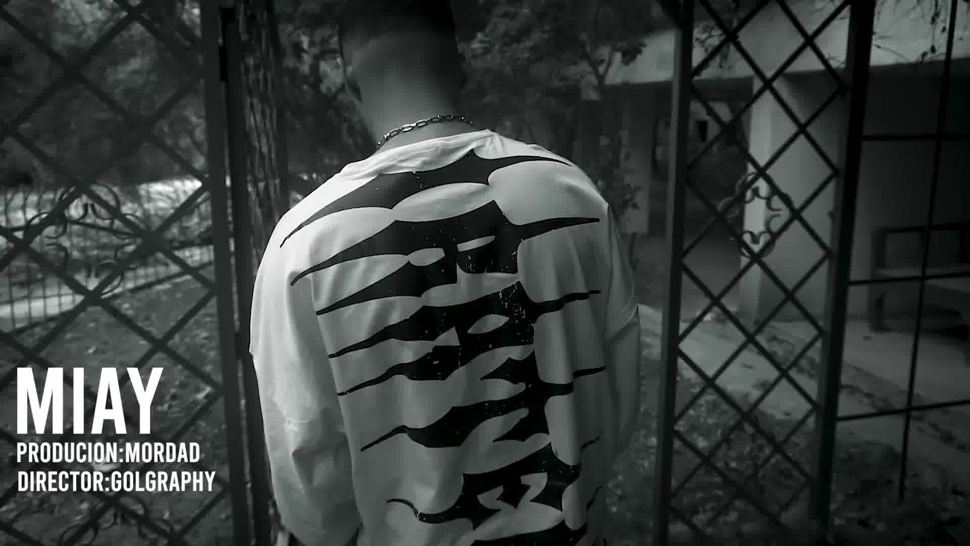 Mohammadreza Golmohammadi - golgraphy  demo teaser