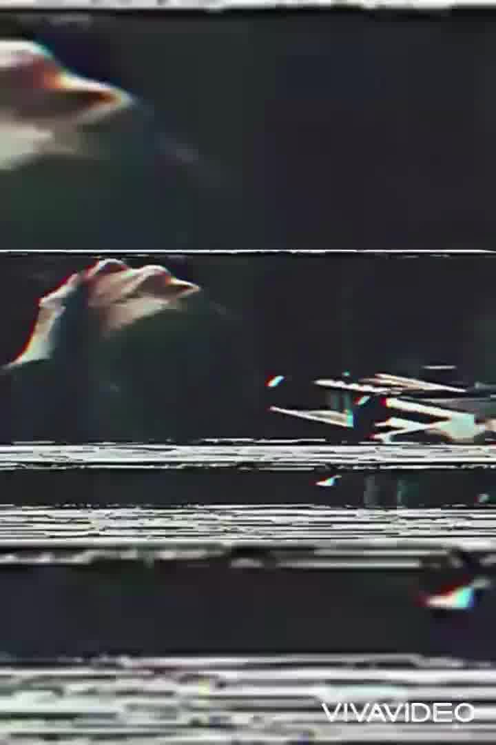 سخنان شنیده نشده از شهید حاج داوود کریمی