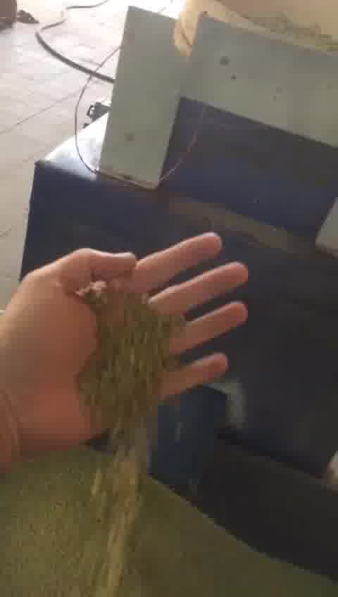 پلی اتیلن بادی لیمویی