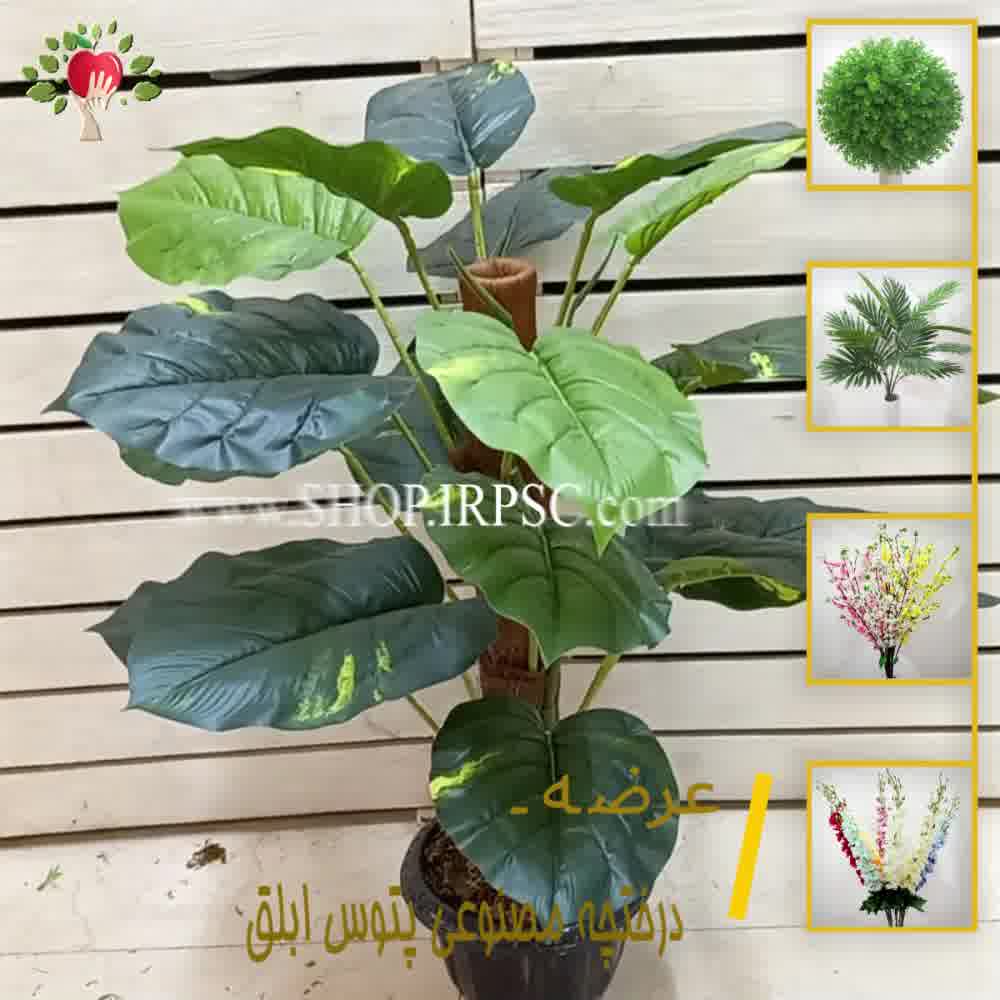 پخش درختچه آپارتمانی باباآدم مصنوعی | فروشگاه ملی