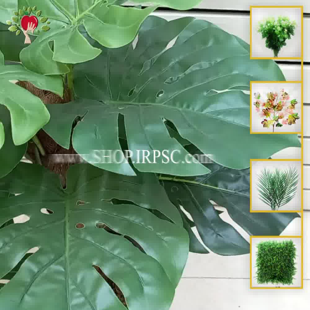 پخش درختچه آپارتمانی انجیری مصنوعی | فروشگاه ملی