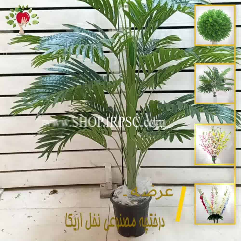 پخش درختچه آپارتمانی نخل مصنوعی  | فروشگاه ملی