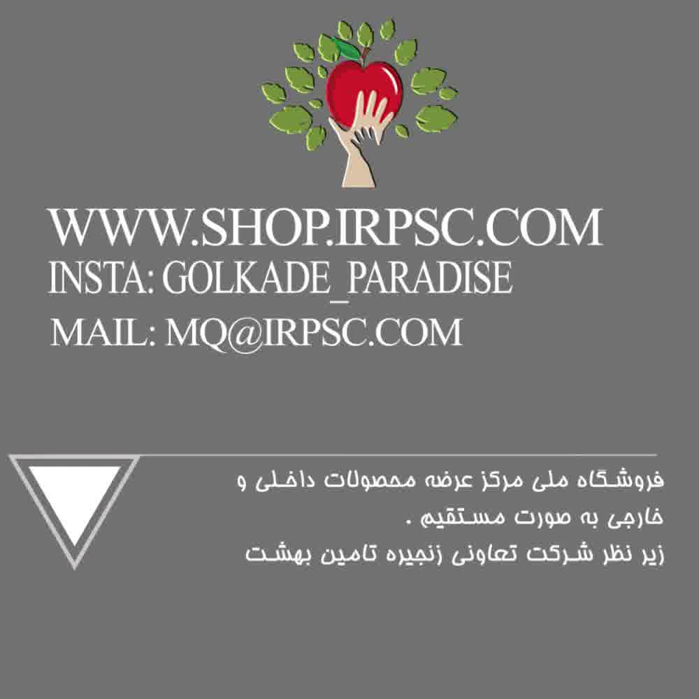 پخش درختچه تزیینی موز 185 سانتیمتری دارای 3 شاخه| فروشگاه ملی