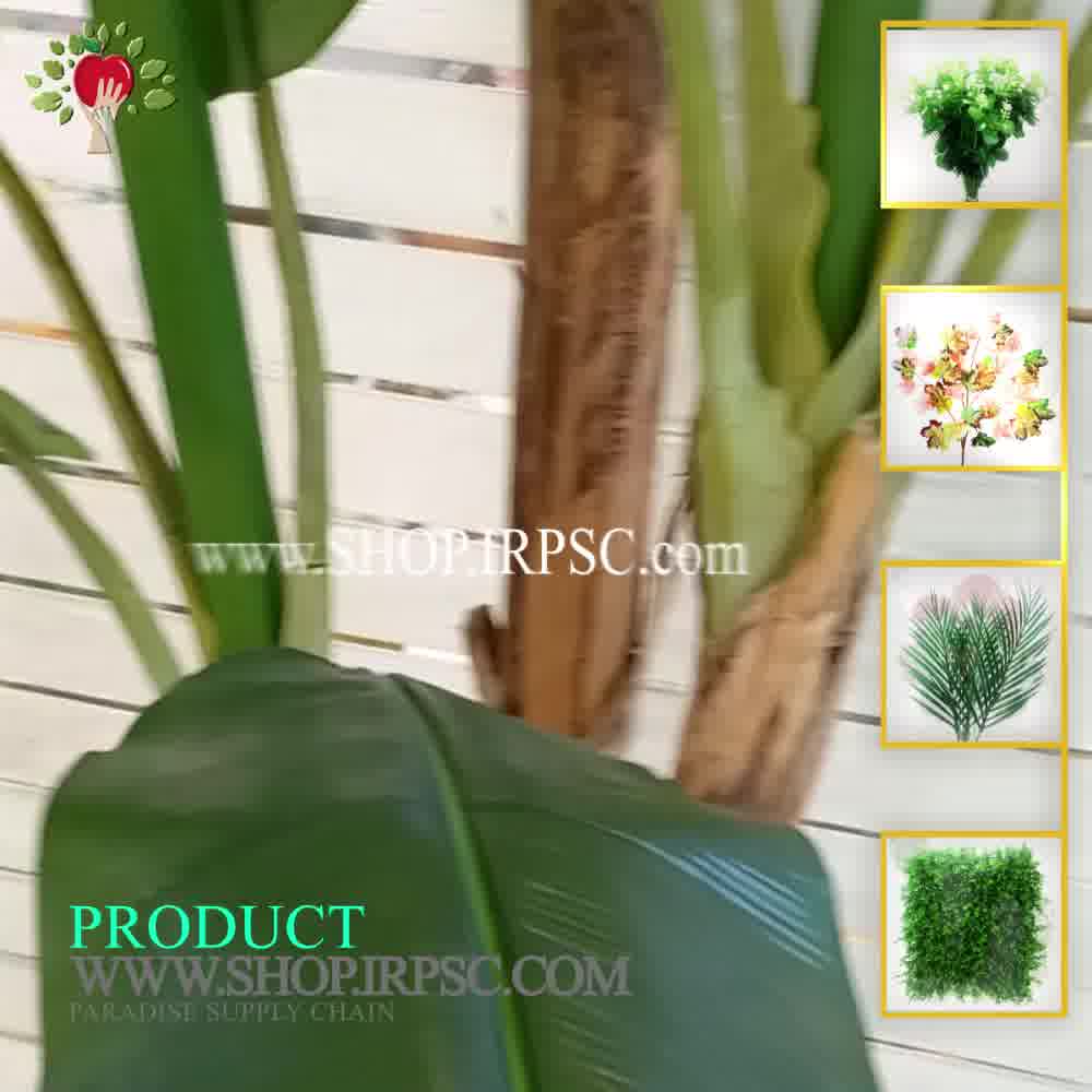 پخش درختچه صنوعی موز ارتفاع 250 سانتیمتر دارای 3 شاخه| فروشگاه ملی