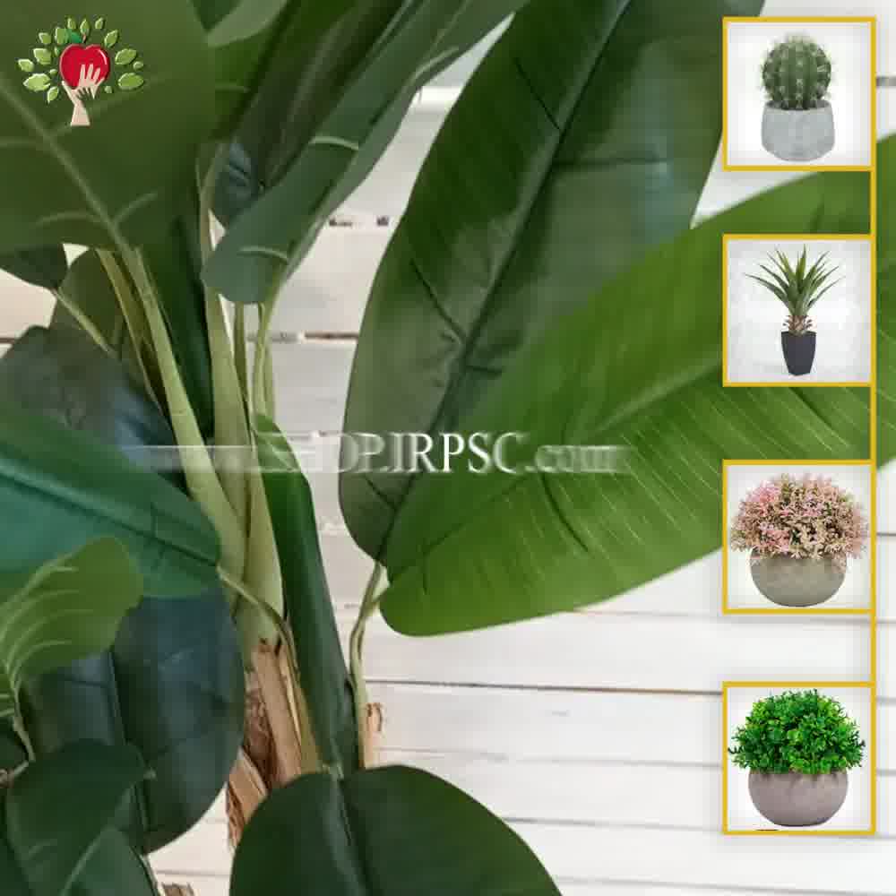 پخش درختچه مصنوعی موز ارتفاع 160 سانتیمتر دارای 4 شاخه| فروشگاه ملی