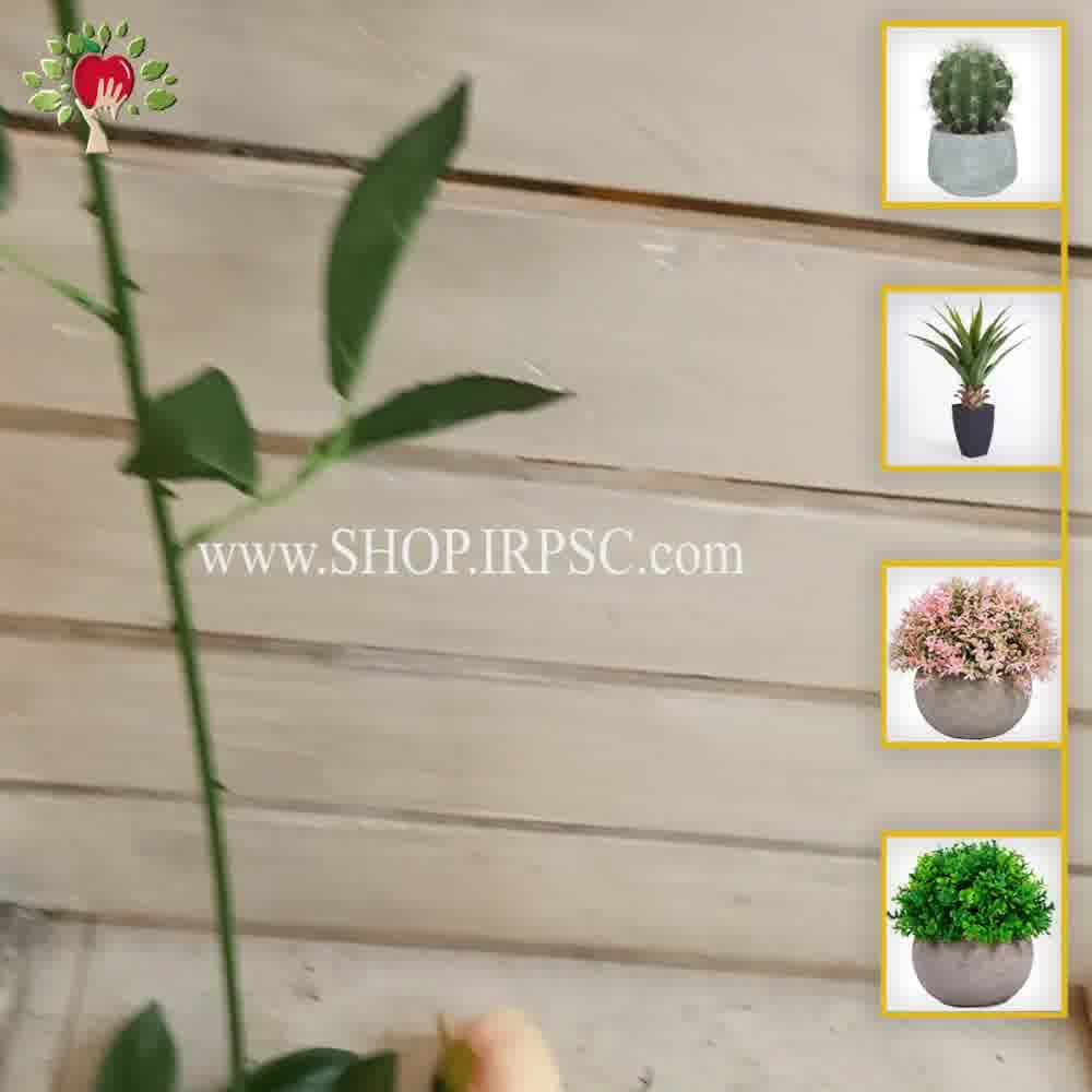 پخش شاخه گل مصنوعی پیونی سایز بزرگ کیفیت درجه یک| فروشگاه ملی