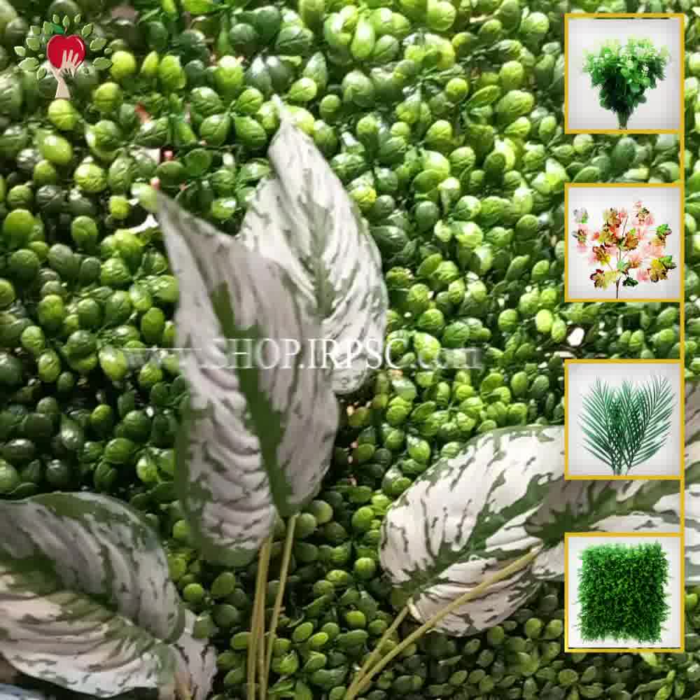 پخش بوته گرینوال مصنوعی آگلونما| فروشگاه ملی
