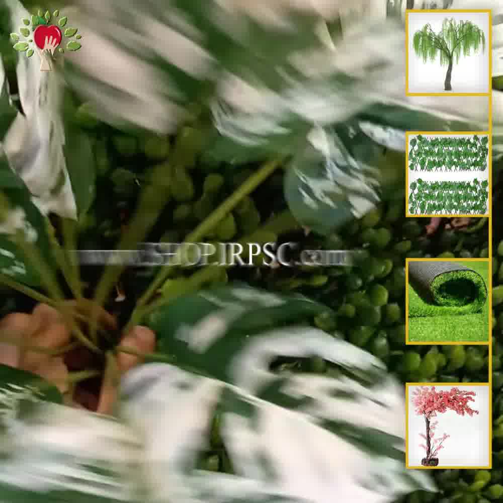 پخش بوته گرینوال مصنوعی انجیری ابلق|  فروشگاه ملی