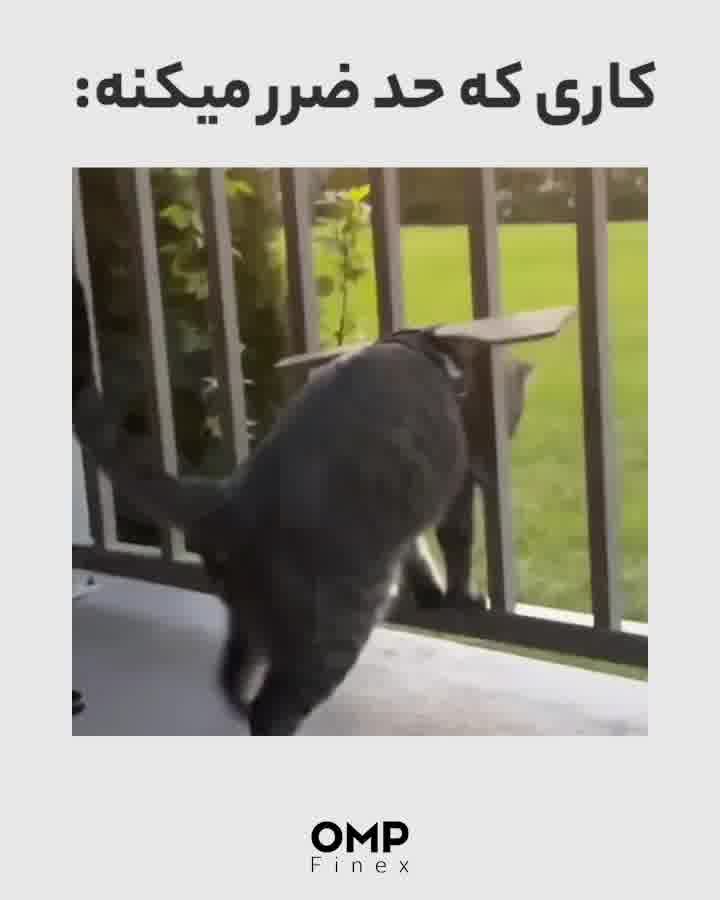 نقش حد ضرر در معاملات