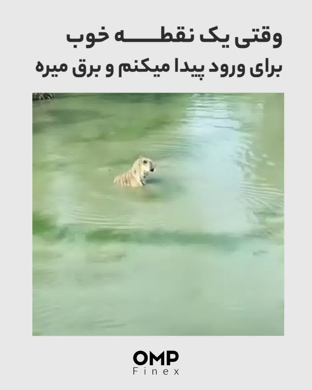 وقتی یک نقطه خوب برای ورود پیدا کردم و برق میره | او ام پی فینکس