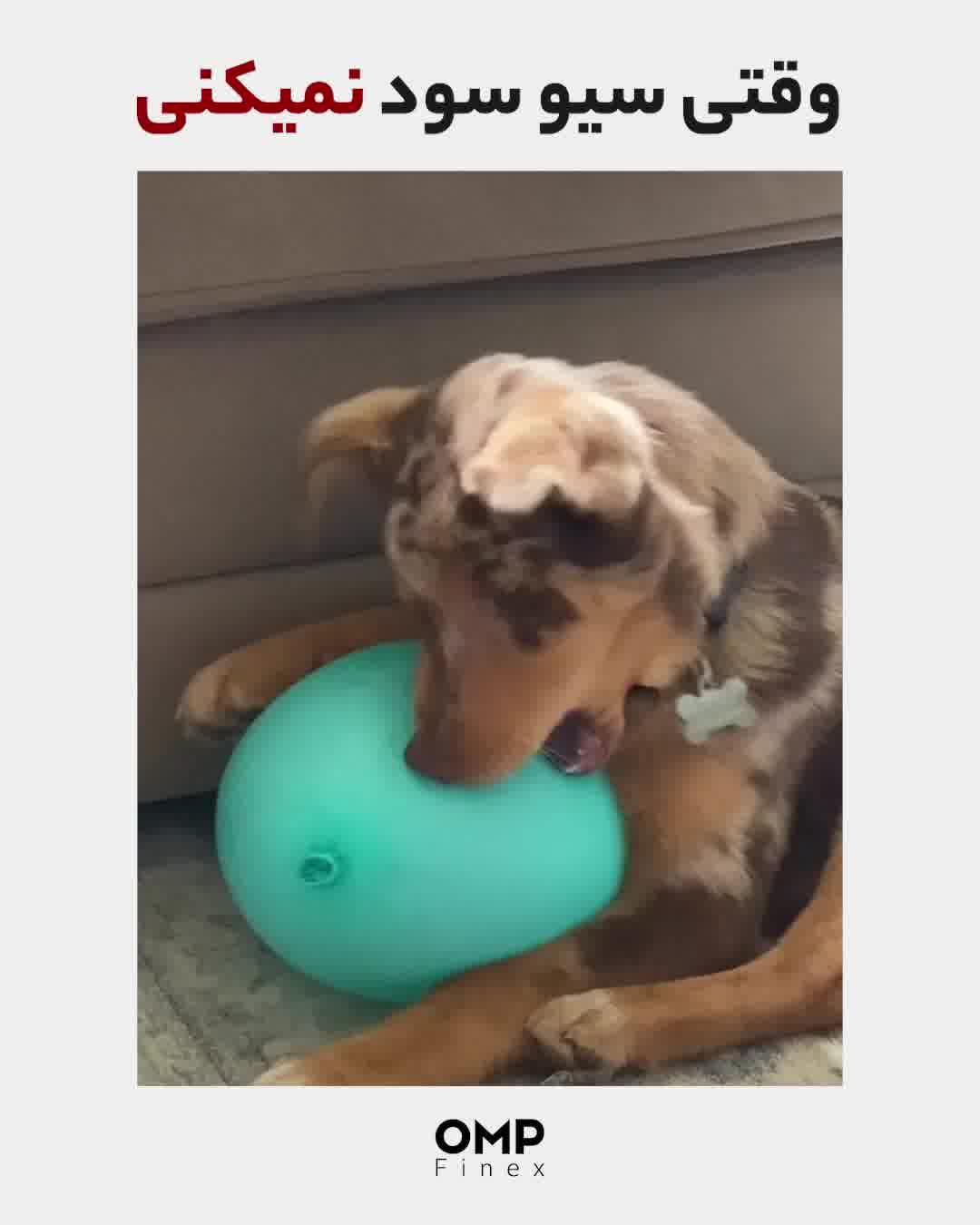 وقتی سیو سود نمیکنی! | OMPFINEX