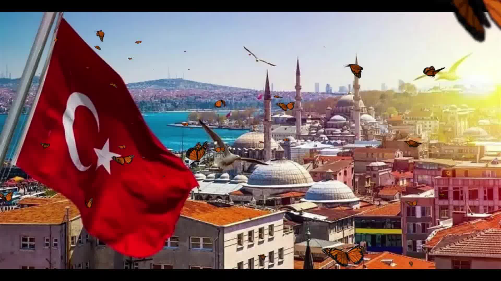 عالی ترین و بهترین تجربه خرید از کشور ترکیه