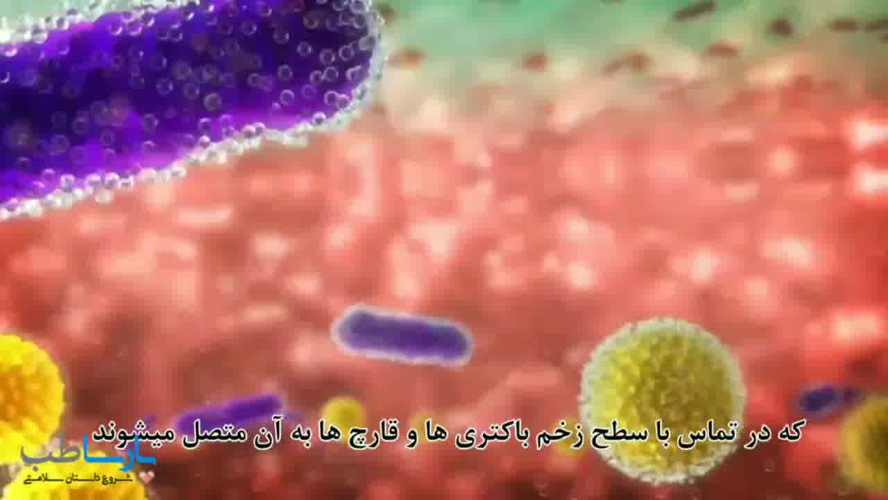 پانسمان گاز نواری سوربکت