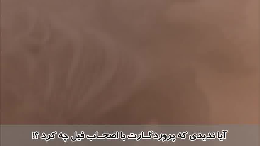 سوره فیل - ترجمه صوتی و تصویری ۱۱۴ سوره قرآن مهر