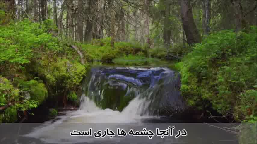 سوره غاشیه - ترجمه صوتی و تصویری ۱۱۴ سوره قرآن مهر