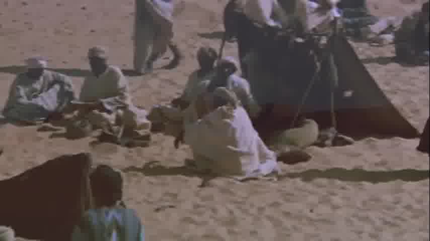 سوره ممتحنه - ترجمه صوتی و تصویری ۱۱۴ سوره قرآن مهر