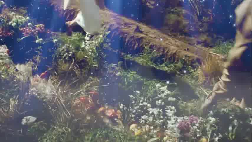 سوره واقعه - ترجمه صوتی و تصویری ۱۱۴ سوره قرآن مهر