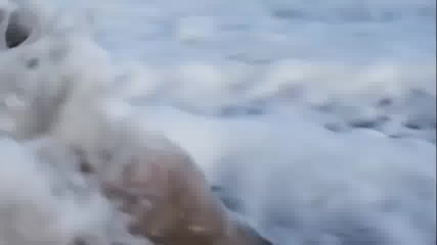 سوره صافات - ترجمه صوتی و تصویری ۱۱۴ سوره قرآن مهر