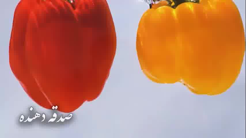 سوره احزاب - ترجمه صوتی و تصویری ۱۱۴ سوره قرآن مهر