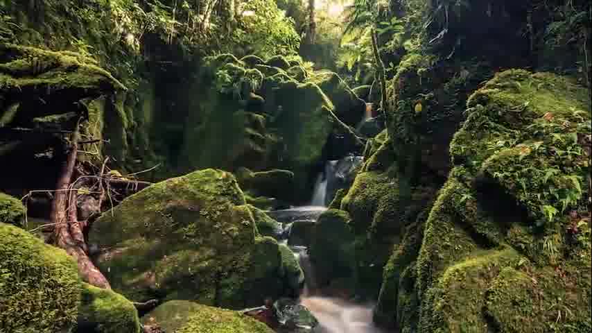 سوره کهف - ترجمه صوتی و تصویری ۱۱۴ سوره قرآن مهر