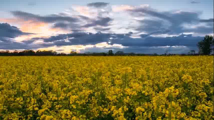 سوره نساء - ترجمه صوتی و تصویری ۱۱۴ سوره قرآن مهر